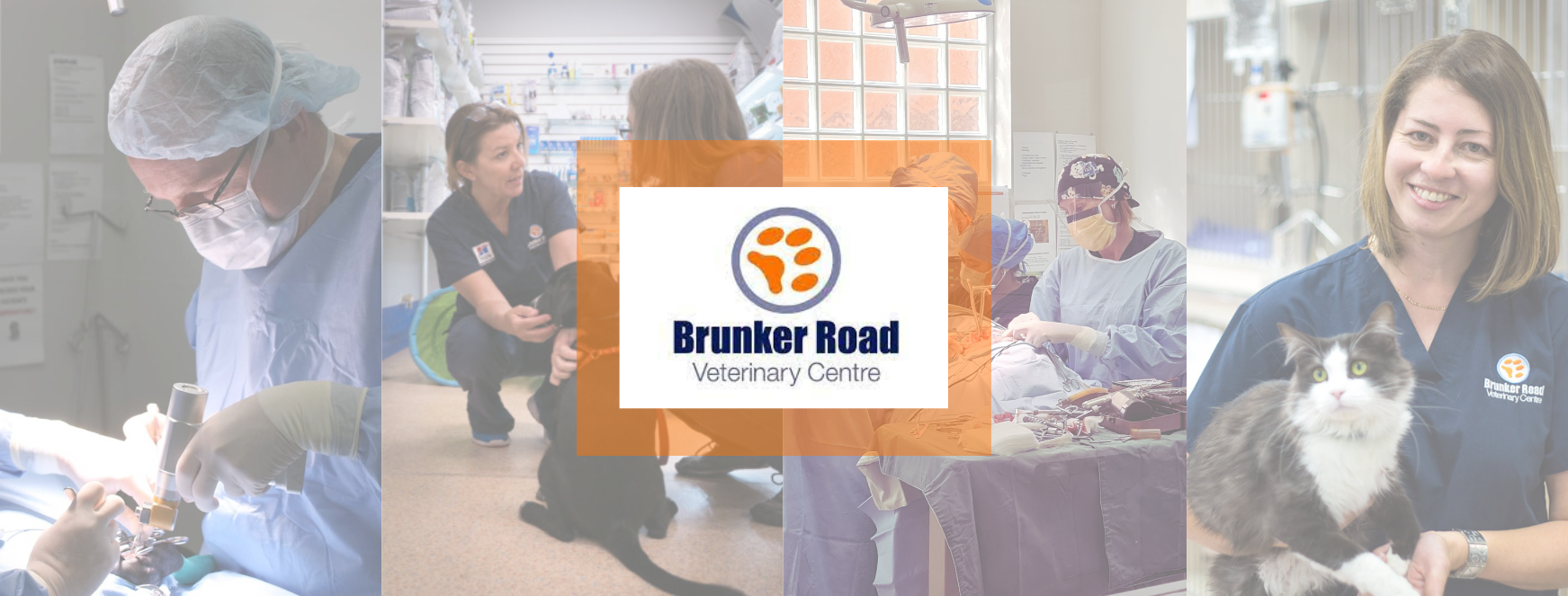 Brunker Road Vet