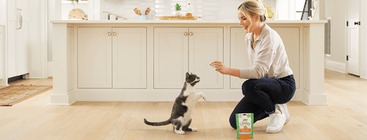 pet dental care at home with GREENIES