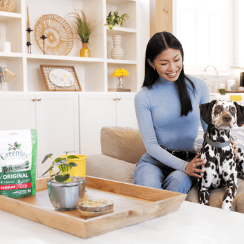 Musts for dental homecare – dog