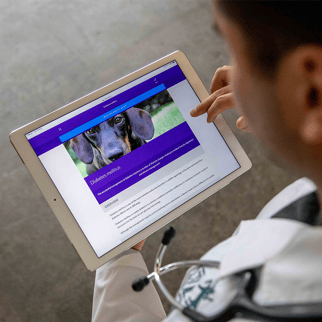 Technology in VetCheck